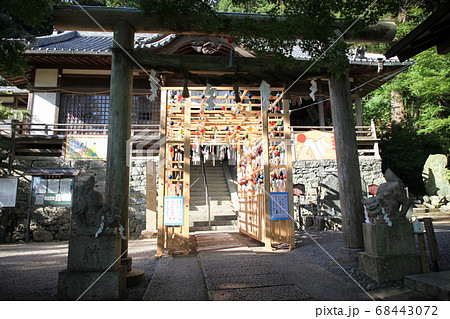 おこべさん おこべさん 68443072