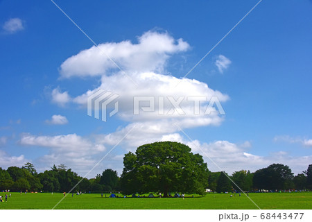 夏の青空 68443477