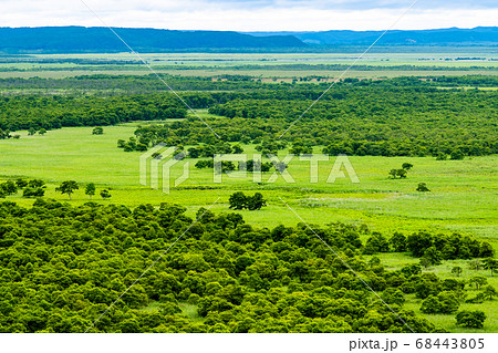 北海道 釧路湿原 釧路市湿原展望台からの眺望 北海道 釧路湿原 釧路市湿原展望台からの眺望 68443805