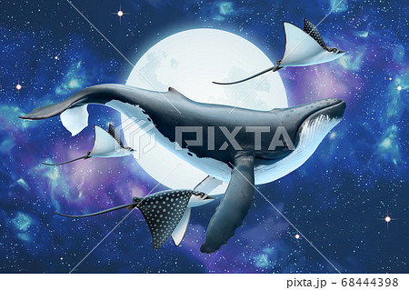 Whale Flying Through The Moonのイラスト素材