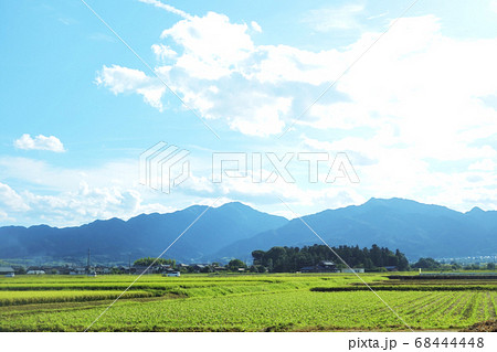 青空　稲作　田園風景 68444448