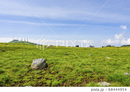 信州　美ヶ原高原 68444954