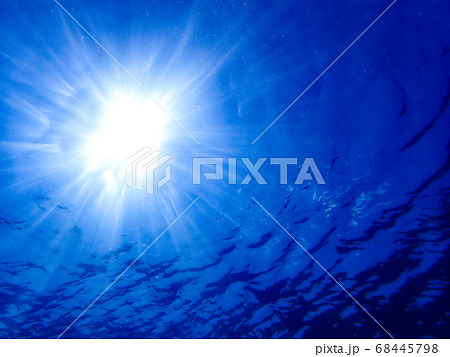 浸透 68445798