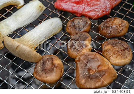 夏のバーベキュー 68446331