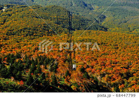 八甲田山の紅葉とロープウェイ 八甲田山の紅葉とロープウェイ 68447799