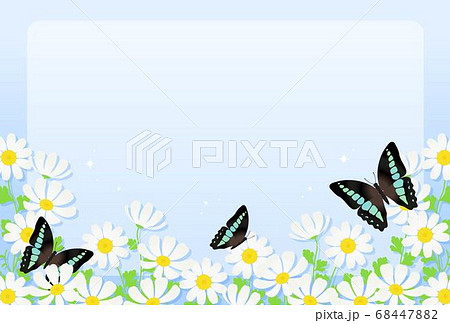 蝶々と花 蝶々と花 68447882