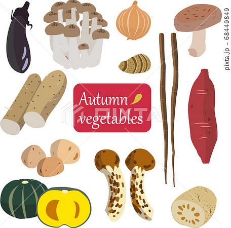 illustration of autumn vegetables collection illustration of autumn vegetables collection 68449849