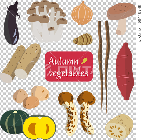 illustration of autumn vegetables collection illustration of autumn vegetables collection 68449849