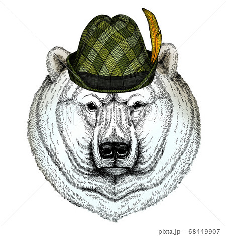 Polar bear portrait. Austrian bavarian tirol hat. Beer festival. Oktoberfest. Head of wild animal Polar bear portrait. Austrian bavarian tirol hat. Beer festival. Oktoberfest. Head of wild animal 68449907