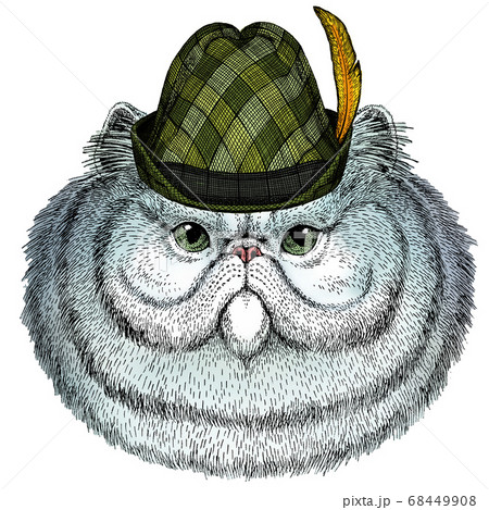 Persian longhair cat. Pet portait. Austrian bavarian tirol hat. Beer festival. Oktoberfest. 68449908