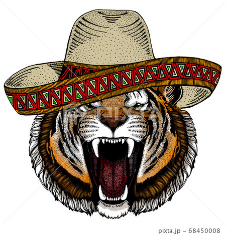 Tiger portrait. Sombrero mexican hat. Wild cat head. Tiger portrait. Sombrero mexican hat. Wild cat head. 68450008