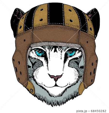 Face of domestic cat. Rugby leather helmet....のイラスト素材 [68450282] - PIXTA