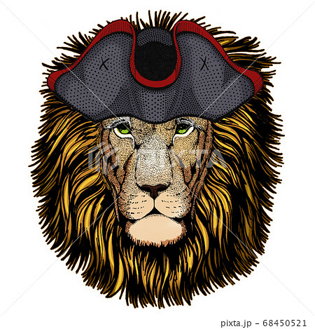 Lion head. Wild animal portrait. Face of african cat. Cocked hat. 68450521