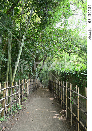佐倉市サムライの古径「ひよどり坂」 夏の風景 佐倉市サムライの古径「ひよどり坂」 夏の風景 68450584