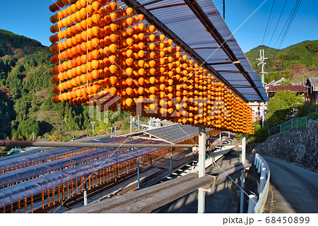 ふるさとの風景　串柿の里 68450899