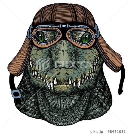 Alligator. Crocodilia. Portrait of african agressive animal. Motorcycle helmet. 68451051