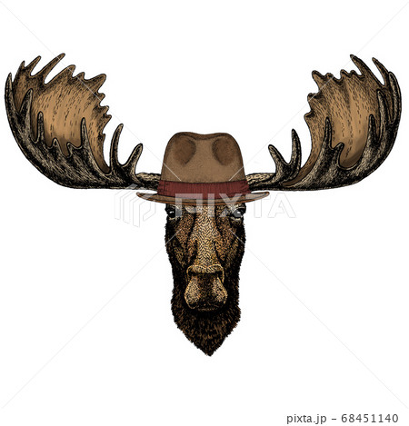 Moose head. Portrait of funny animal. Fedora classic hat. 68451140