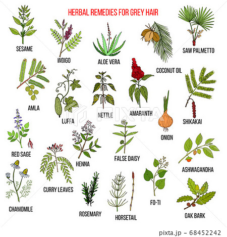 Best herbal remedies for gray hair 68452242