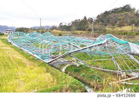 強風被害を受けた建物やハウス 68452666