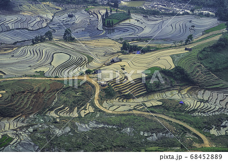 Rice field terraces. Mountain view in the clouds. 68452889