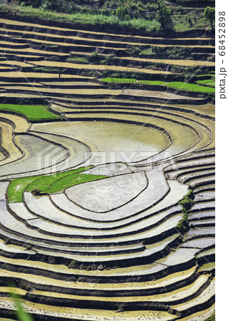 Beauty of rice terraces in Muong Hum, Lao Cai, 68452898