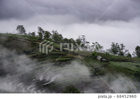 Rice field terraces. Mountain view in the clouds. Rice field terraces. Mountain view in the clouds. 68452960