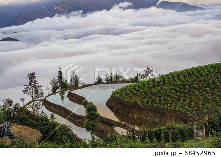 Rice field terraces. Mountain view in the clouds. Rice field terraces. Mountain view in the clouds. 68452965