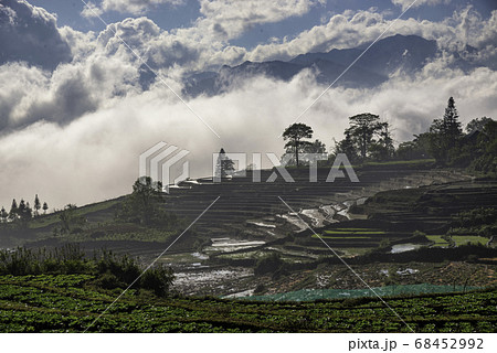 Rice field terraces. Mountain view in the clouds. Rice field terraces. Mountain view in the clouds. 68452992