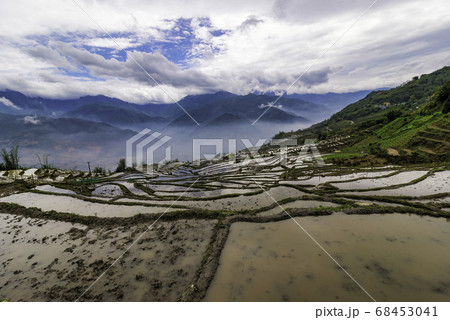 Rice field terraces. Mountain view in the clouds. Rice field terraces. Mountain view in the clouds. 68453041