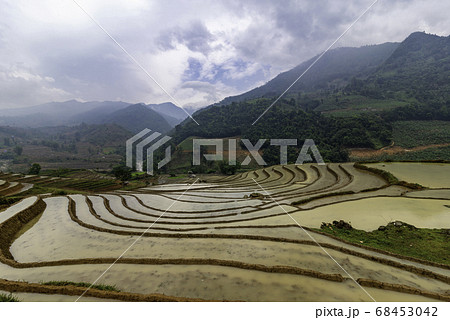 Rice field terraces. Mountain view in the clouds. Rice field terraces. Mountain view in the clouds. 68453042
