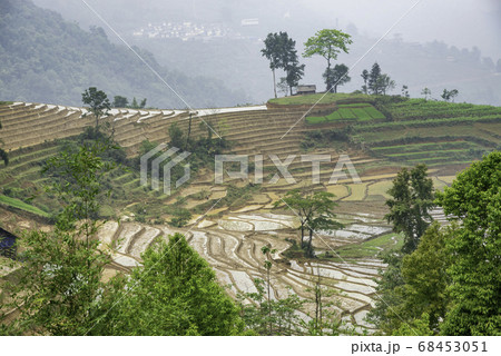 Rice field terraces. Mountain view in the clouds. 68453051