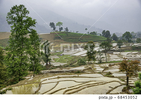 Rice field terraces. Mountain view in the clouds. Rice field terraces. Mountain view in the clouds. 68453052