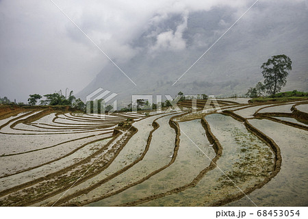 Rice field terraces. Mountain view in the clouds. Rice field terraces. Mountain view in the clouds. 68453054