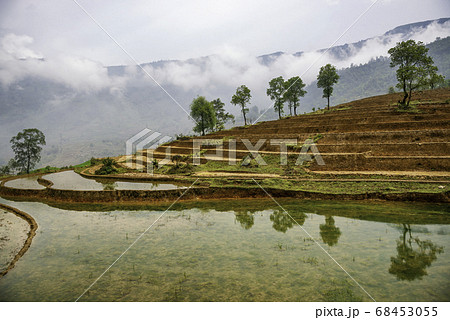 Rice field terraces. Mountain view in the clouds. 68453055
