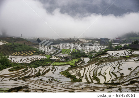 Rice field terraces. Mountain view in the clouds. 68453061