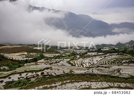 Rice field terraces. Mountain view in the clouds. Rice field terraces. Mountain view in the clouds. 68453062