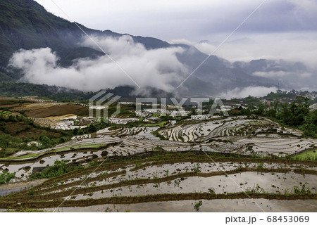 Rice field terraces. Mountain view in the clouds. 68453069