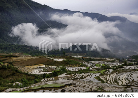 Rice field terraces. Mountain view in the clouds. 68453070