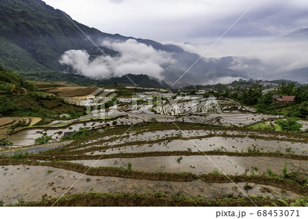 Rice field terraces. Mountain view in the clouds. Rice field terraces. Mountain view in the clouds. 68453071