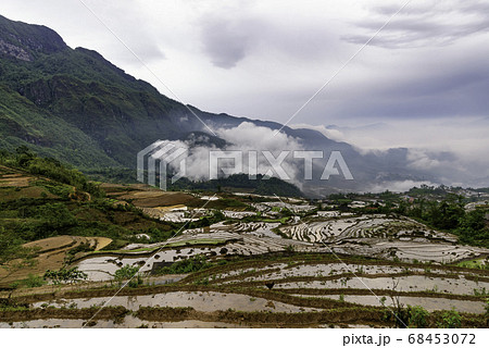 Rice field terraces. Mountain view in the clouds. Rice field terraces. Mountain view in the clouds. 68453072