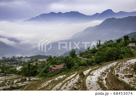 Rice field terraces. Mountain view in the clouds. Rice field terraces. Mountain view in the clouds. 68453074