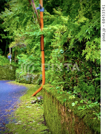 田舎道 68453541