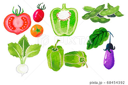 いろいろな野菜と断面図のイラスト素材
