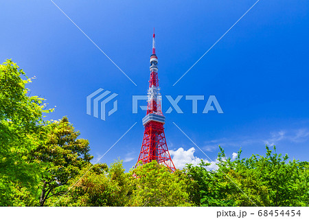 新緑の木立と東京タワー 新緑の木立と東京タワー 68454454