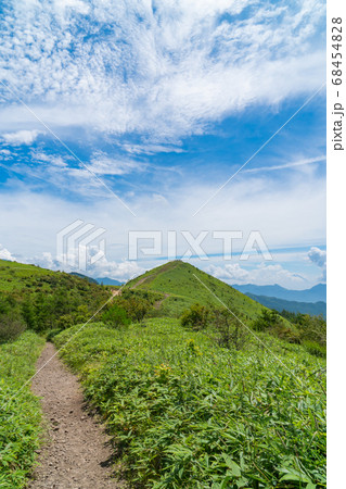 飯盛山の登山道（目の前は飯盛山のピーク） 68454828