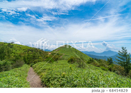 飯盛山の登山道（目の前は飯盛山のピーク） 68454829
