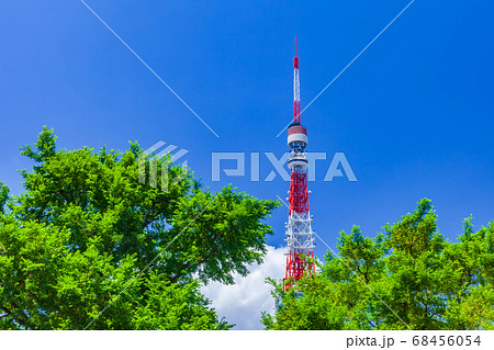 新緑の木立と東京タワー 新緑の木立と東京タワー 68456054