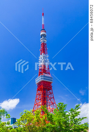 新緑の木立と東京タワー 新緑の木立と東京タワー 68456072