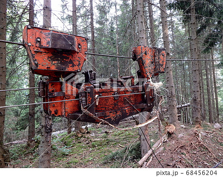 Cableway for timber transport Cableway for timber transport 68456204