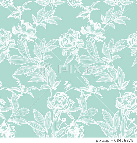 Line art peonies, buds and leaves. Vector floral seamless pattern. Detailed outline sketch drawing. Contour graphic, etching technique. Vintage background with beautiful flowers 68456879